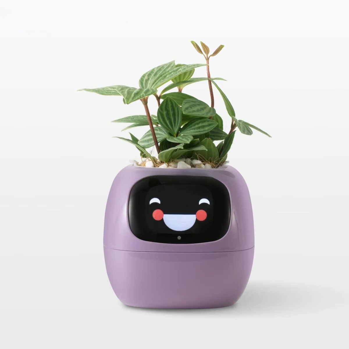 YY Wifi Ai Planter Watering Re - Home Decor Ai Free recension och pris