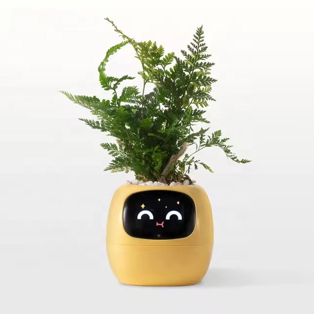 YY Wifi Ai Planter Watering Re - Home Decor Ai Free recension och pris